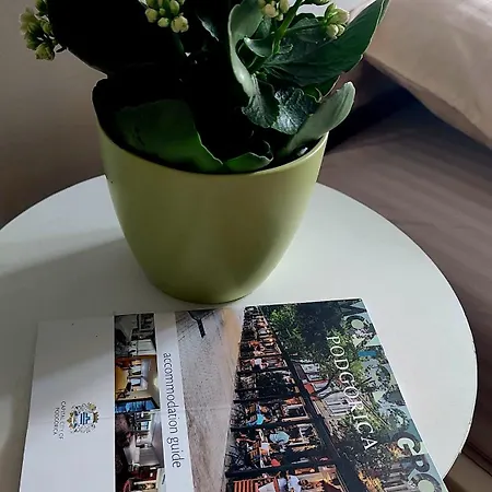 Centar Apartment