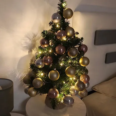 Apartment Centar Podgorica