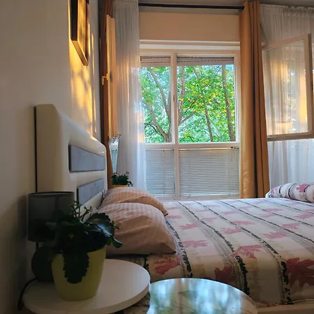 Apartment Centar *